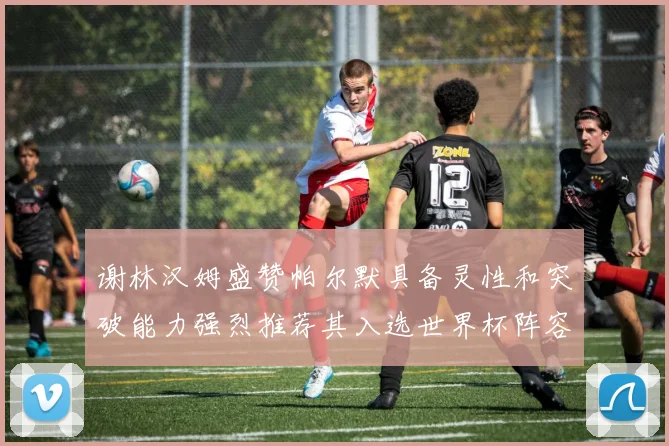 谢林汉姆盛赞帕尔默具备灵性和突破能力强烈推荐其入选世界杯阵容